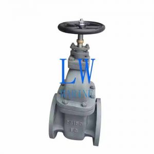Marine Cast Iron Valve