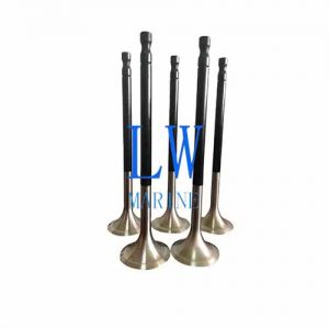 Engine Valves