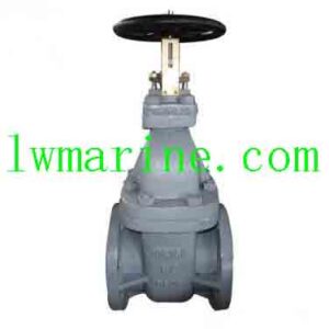 Marine Cast Iron Valve