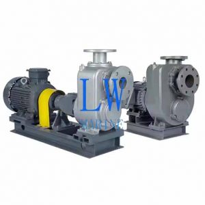 Marine Ballast Pump