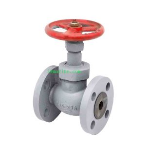 JIS F7323 Marine Globe Valve