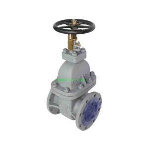 JIS F7366 Gate Valve