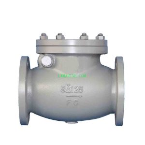 Marine Cast Iron Check Valve JIS F7373