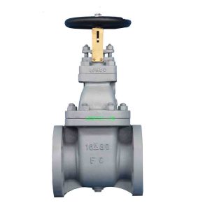 Marine Cast Iron Gate Valve JIS F7367