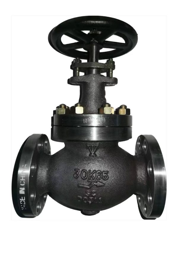 Marine Globe Hull Valve JIS F7365