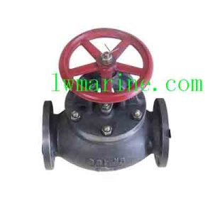 Marine Screw Down Check Valves