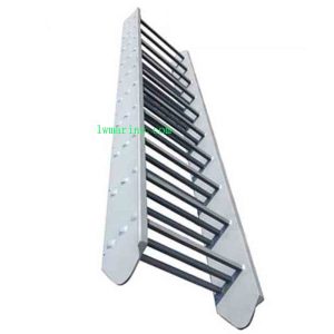 Stainless Steel Vertical Ladder