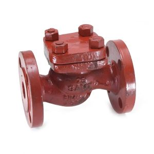 Cast Steel Check Valve CBM 1050-81