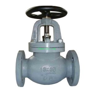 DIN Cast Iron Check Valve