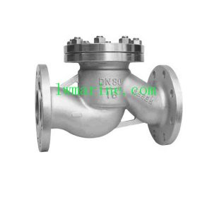 DIN Check Valve