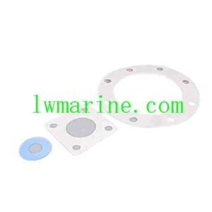 Pure Tetrafluoride Gasket