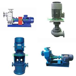 Ship Ballast Pump