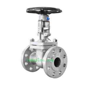 Stainless Steel Gate Valve for Ship