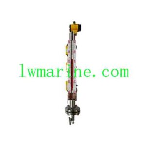 Magnetic Float Level Gauge