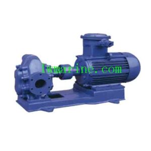 Marine Transfer Pump