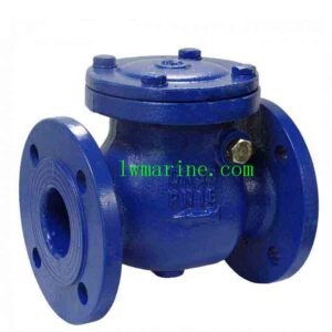 Ship Check Valve