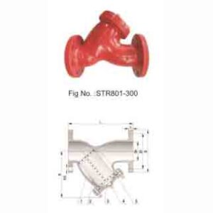 CLASS 300 Y-STRAINER