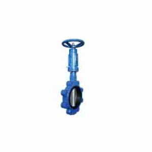 Center boat worm gear lug butterfly valve