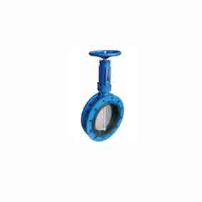 Center boat worm gear short series flange butterfly valve