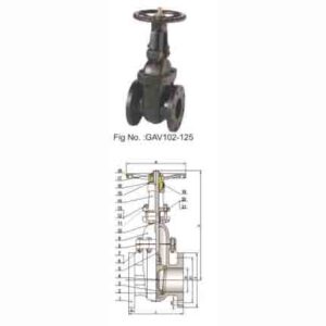 MSS SP-70 CLASS 125 OS&Y CAST IRON GATE VALVE