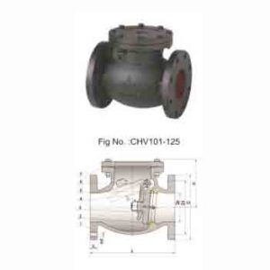 MSS SP-71 CLASS125 CAST IRON SWING CHECK VALVE