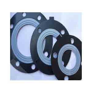 PTFE Composite Gasket