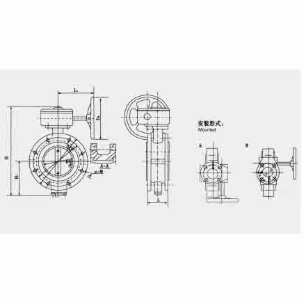 Marine center pivoted flanged worm manual butterfly valve