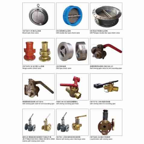 Marine check valve