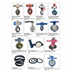 Ship Butterfly Valve & Accessories