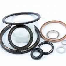 End face Spring Energized Seal (FVC)