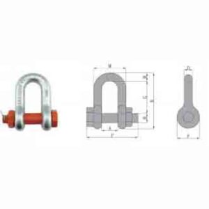 G2150 US Type Dee Shackle