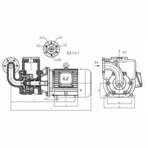 Marine Self‑Priming Vortex Pump CWX Series