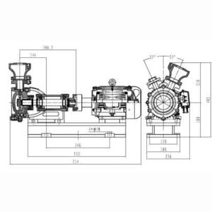 Marine horizontal Swirl pump 1WZ Series