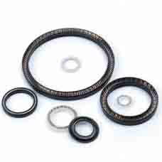 Rotary Spring Energized Seal (FVD)
