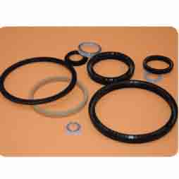 Spring Energized Seal for Piston (FVA)