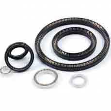 Spring Energized Seal for Rod (FVI)