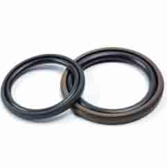 Step Seal for Piston (GSD)