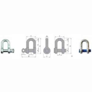 US Type Dee Shackle