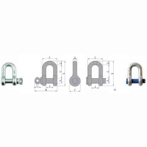 US Type Dee Shackle